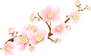 img_jsxz_hua